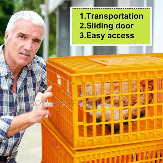 Poultry Transport Cages