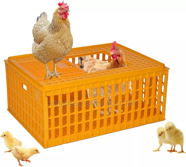 Poultry Transport Cages