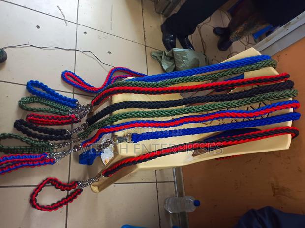 Dog Leash and Harness Set - main view