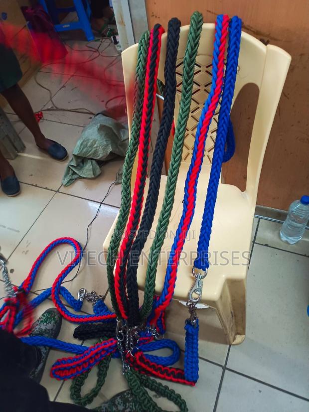 Dog High Quality Nylon Dog Harness - main view