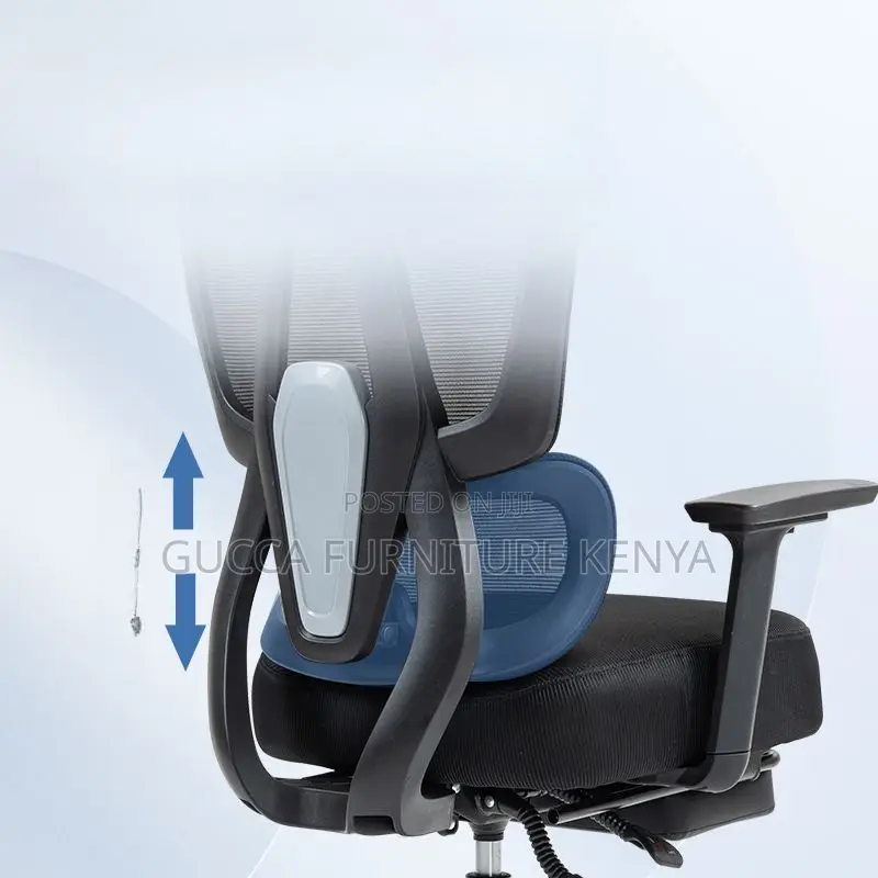 Office Chair: Executive High-Back Primo Ergonomic Seat