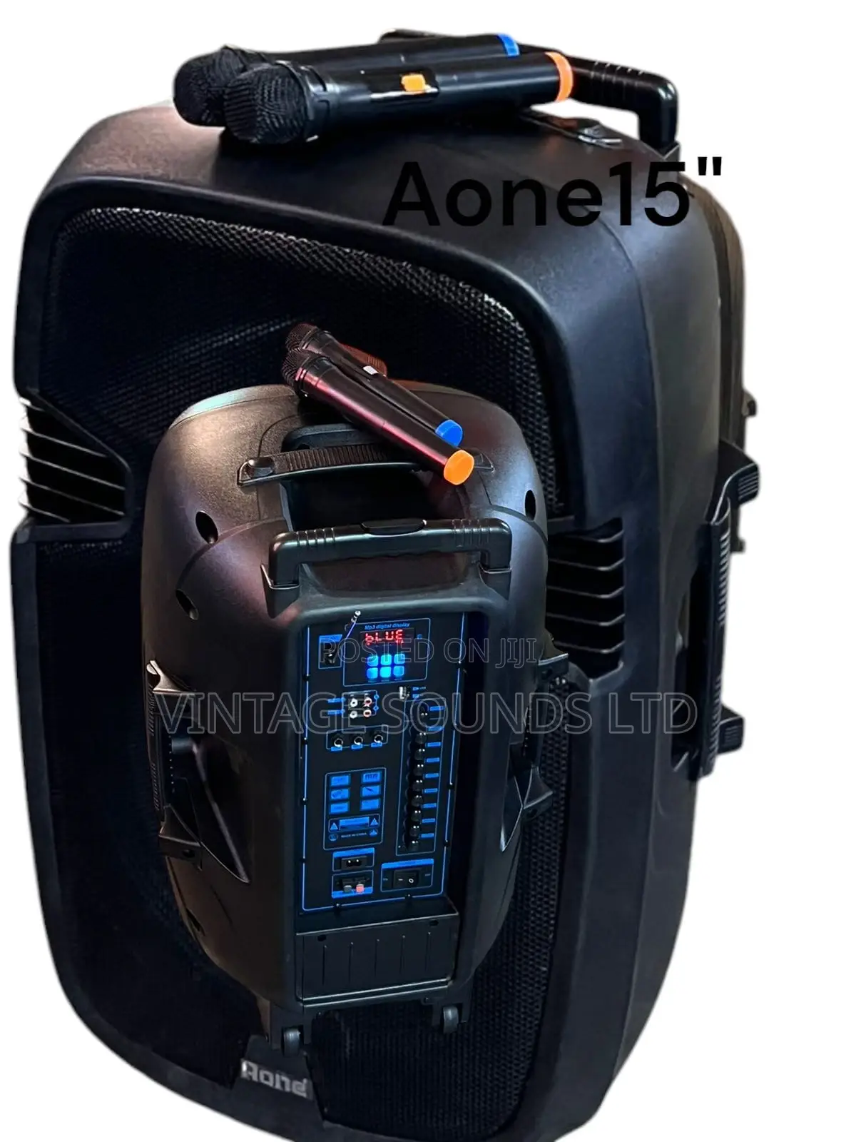 ACTIVE PORTABLE SPEAKER AONE 15 “ + 2mics