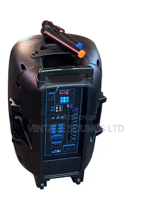 ACTIVE PORTABLE SPEAKER AONE 15 “ + 2mics
