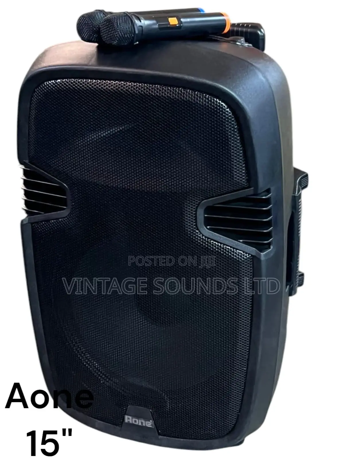 ACTIVE PORTABLE SPEAKER AONE 15 “ + 2mics
