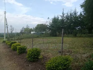 Eighth Acre Plot for Sale in Ngong