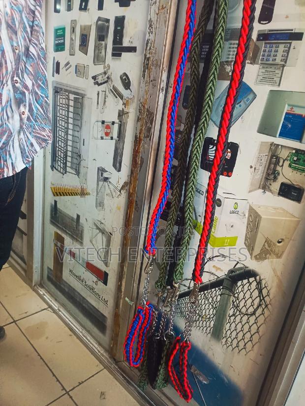 Quality Nylon Dog Harness and Leash - main view