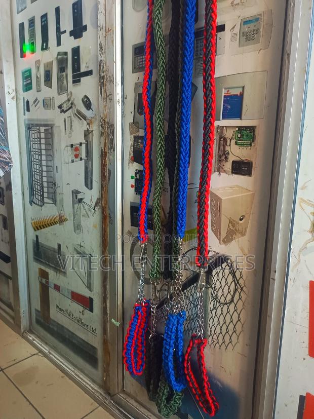 Nylon Dog Harness and Leash - main view