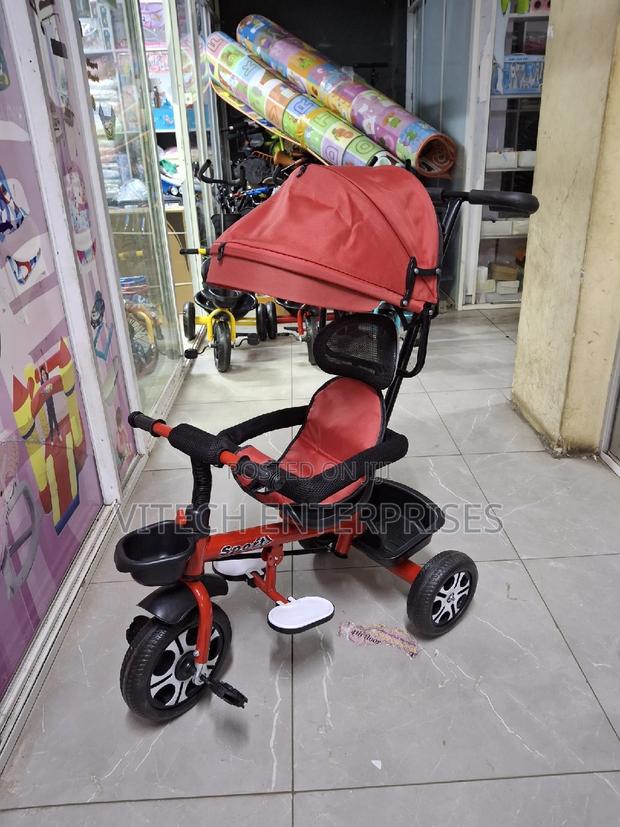 Tricycle With Canopy and Push Handle - main view