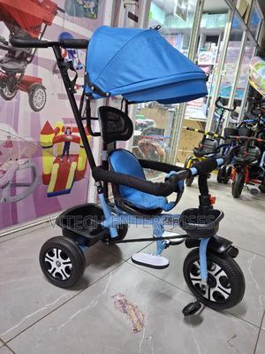 Tricycle With Canopy and Push Handle - main view