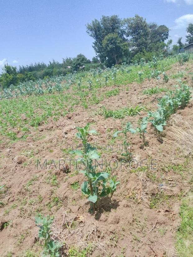 3.5 Acres Nyamathi, Naivasha - main view