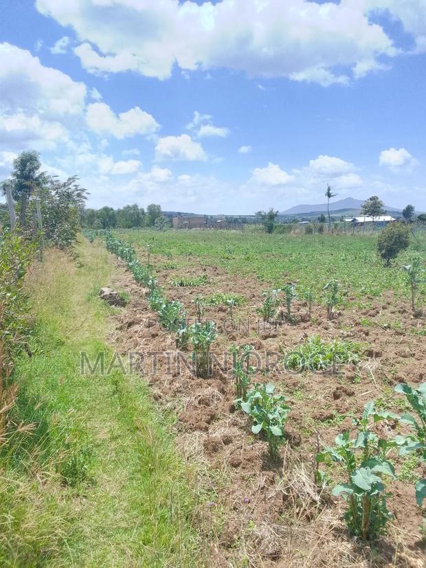 3.5 Acres Nyamathi, Naivasha - thumbnail 3