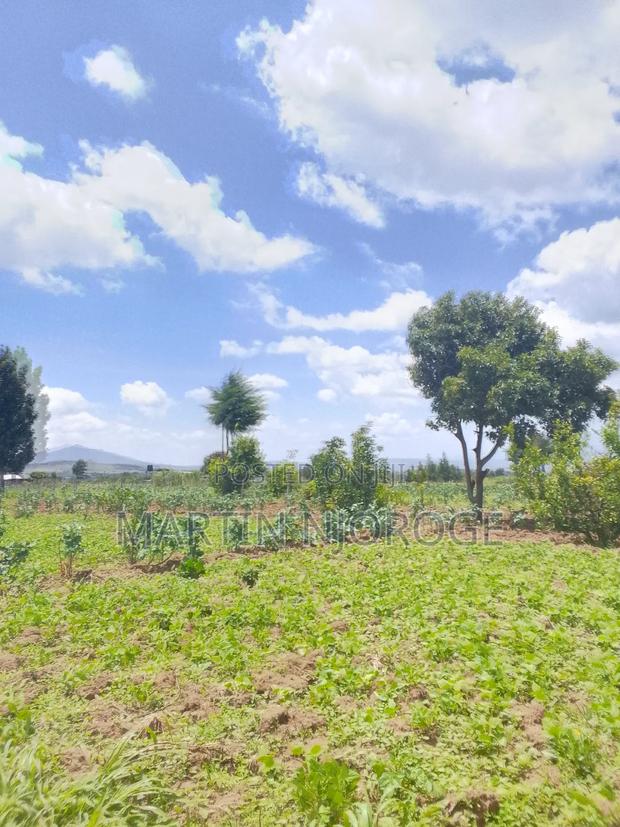 3.5 Acres Nyamathi, Naivasha - thumbnail 4