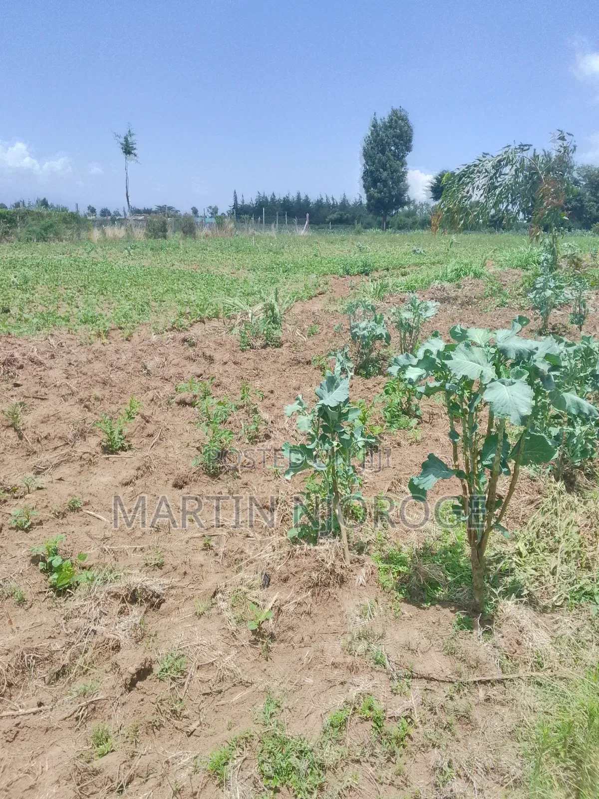 3.5 Acres Nyamathi, Naivasha