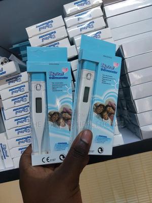 Digital Thermometers WHOLESALE - main view