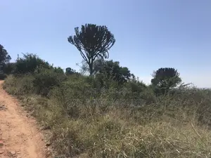 Elevated 5 Acres Land Mua Hills