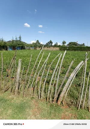 1/2 Acre Kiplombe With Title.