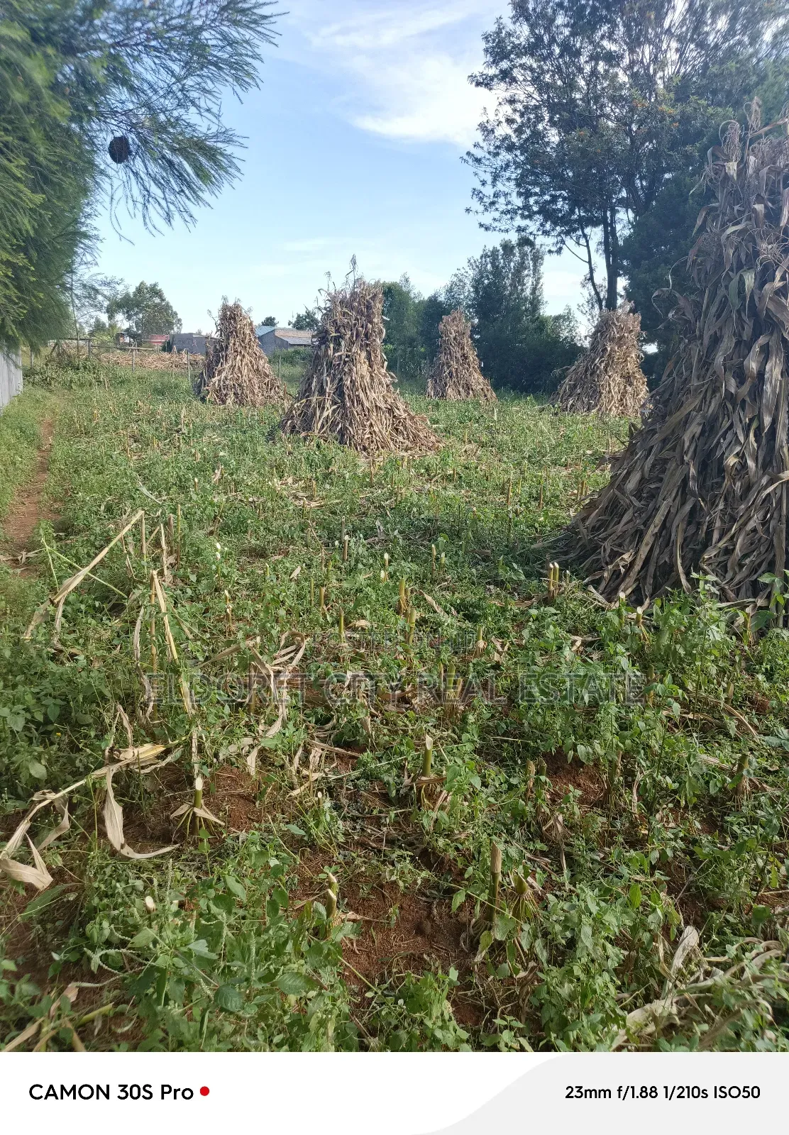 1/4 Plot Munyaka Near Kapsoya With Title