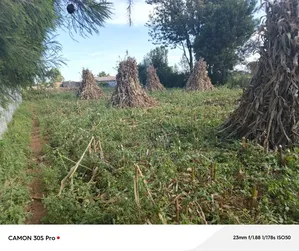 1/4 Plot Munyaka Near Kapsoya With Title