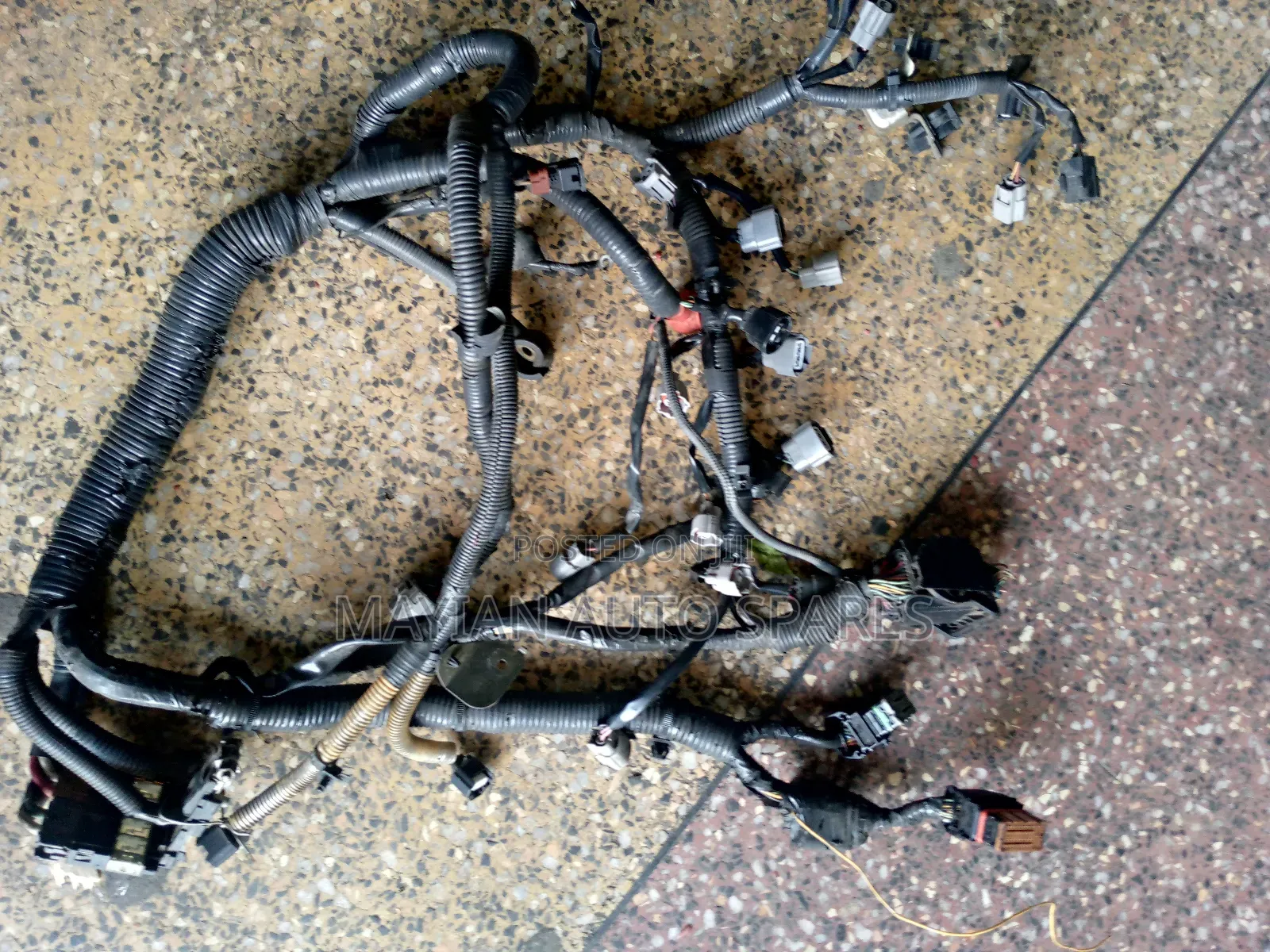 Complete Wirering Harness for B15,Y11 Engine Qg15