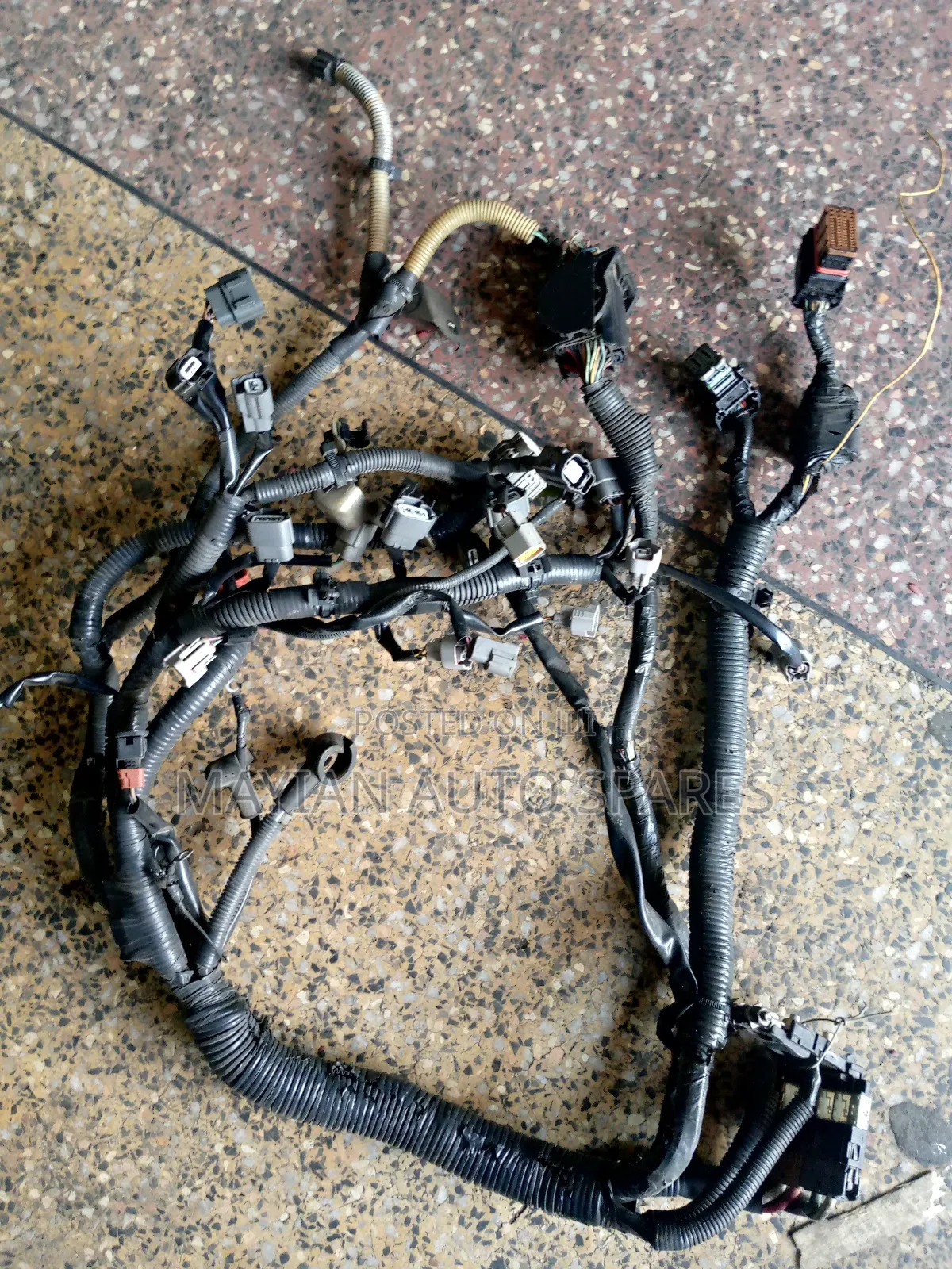 Complete Wirering Harness for B15,Y11 Engine Qg15