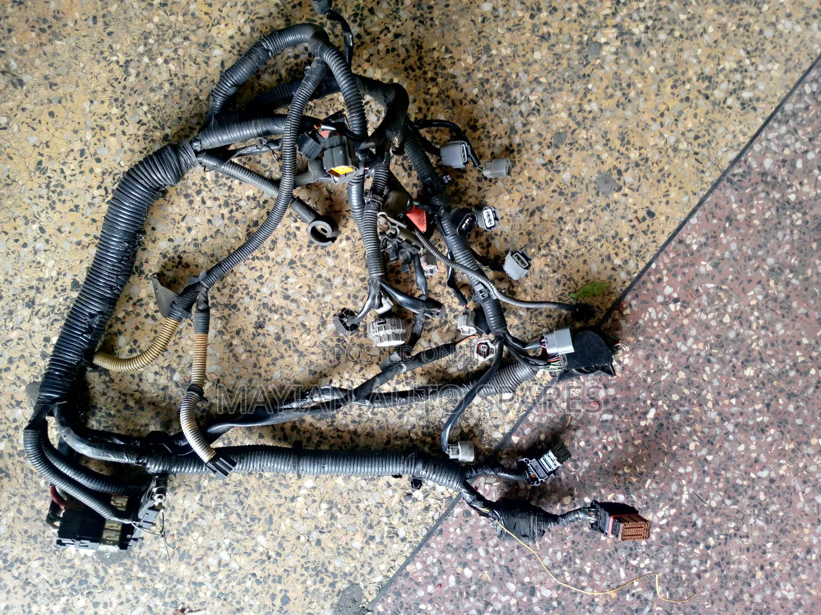 Complete Wirering Harness for B15,Y11 Engine Qg15