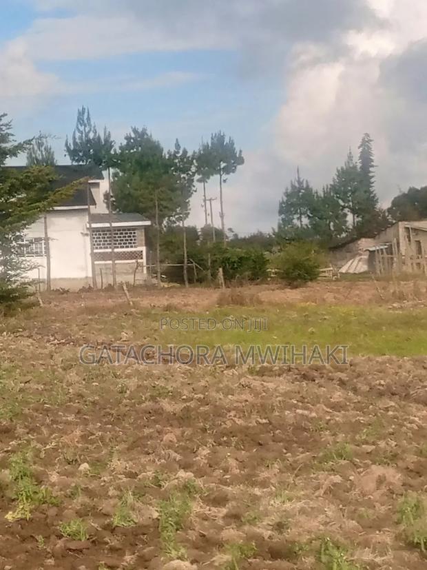 Plot 100 By100 With Title - main view