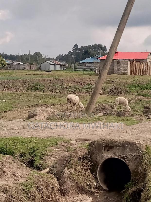 Plot 100 By100 With Title - thumbnail 5