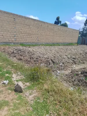 50 by 100 Fryover ( Njabini Junction)
