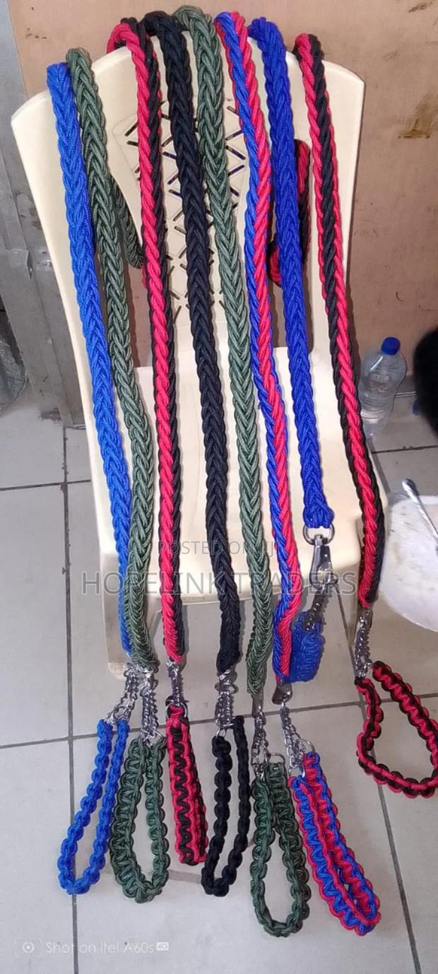 German Shepherd Leash - main view