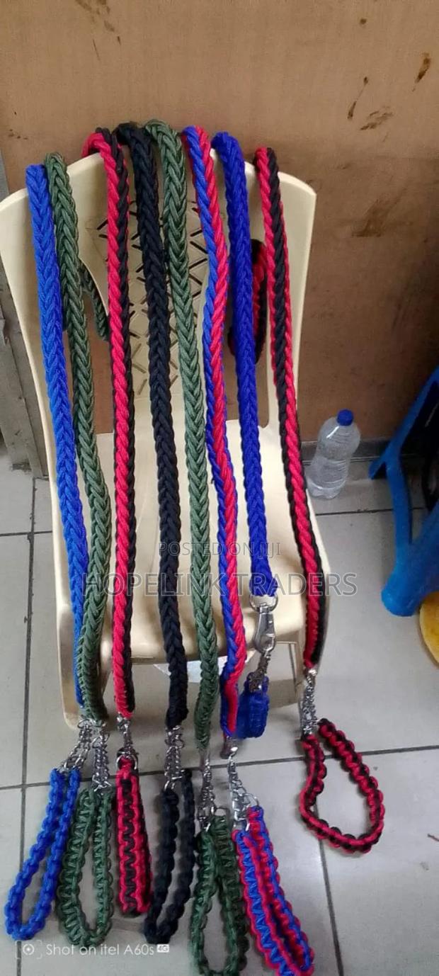 Big Dog Leash - main view