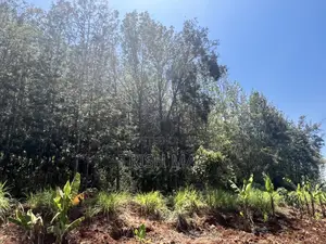 Quick Sale: 2 Acres at Kakuzi/Kirimiri (Mutithi), Ready Title