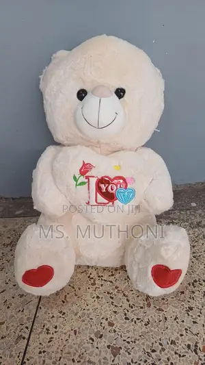 *60 Cm Teddy Bear*