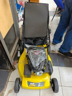 Original Wasp Petrol Lawnmower 196cc 6.5hp