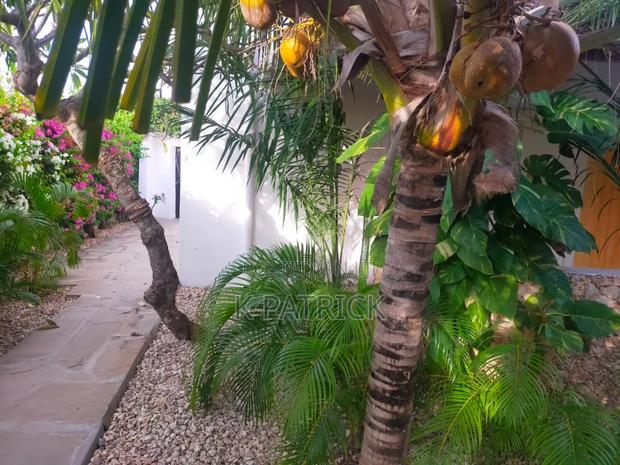 Arica Palm Villa Watamu - thumbnail 4