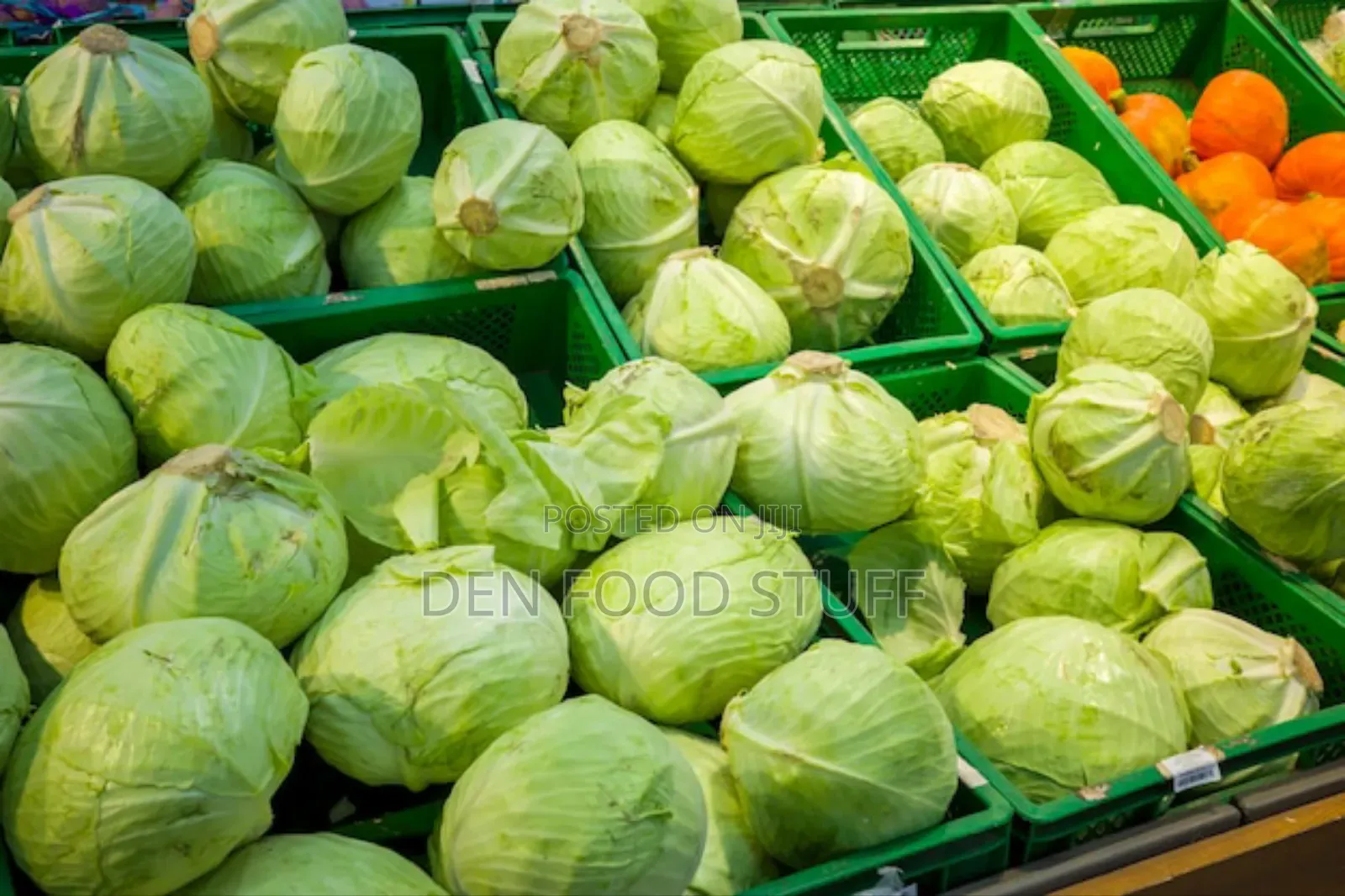 Fresh Cabbage