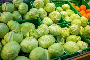 Fresh Cabbage