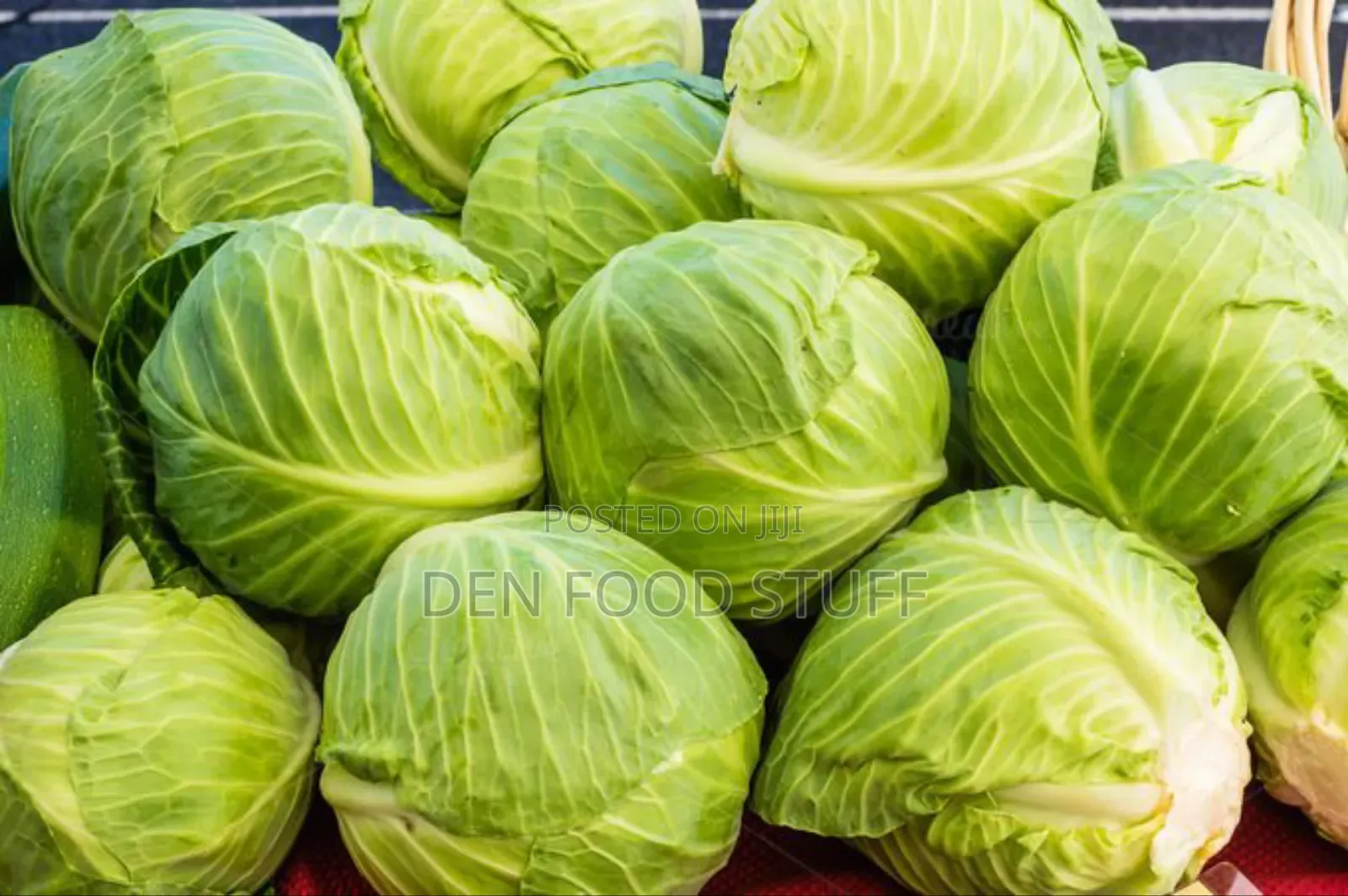Fresh Cabbage