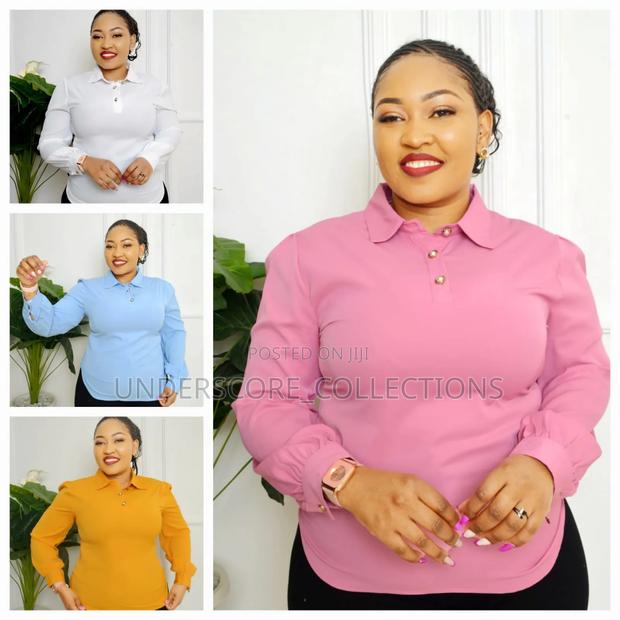 Executive Ladies Chiffon Plain and Stripped Blouses - main view