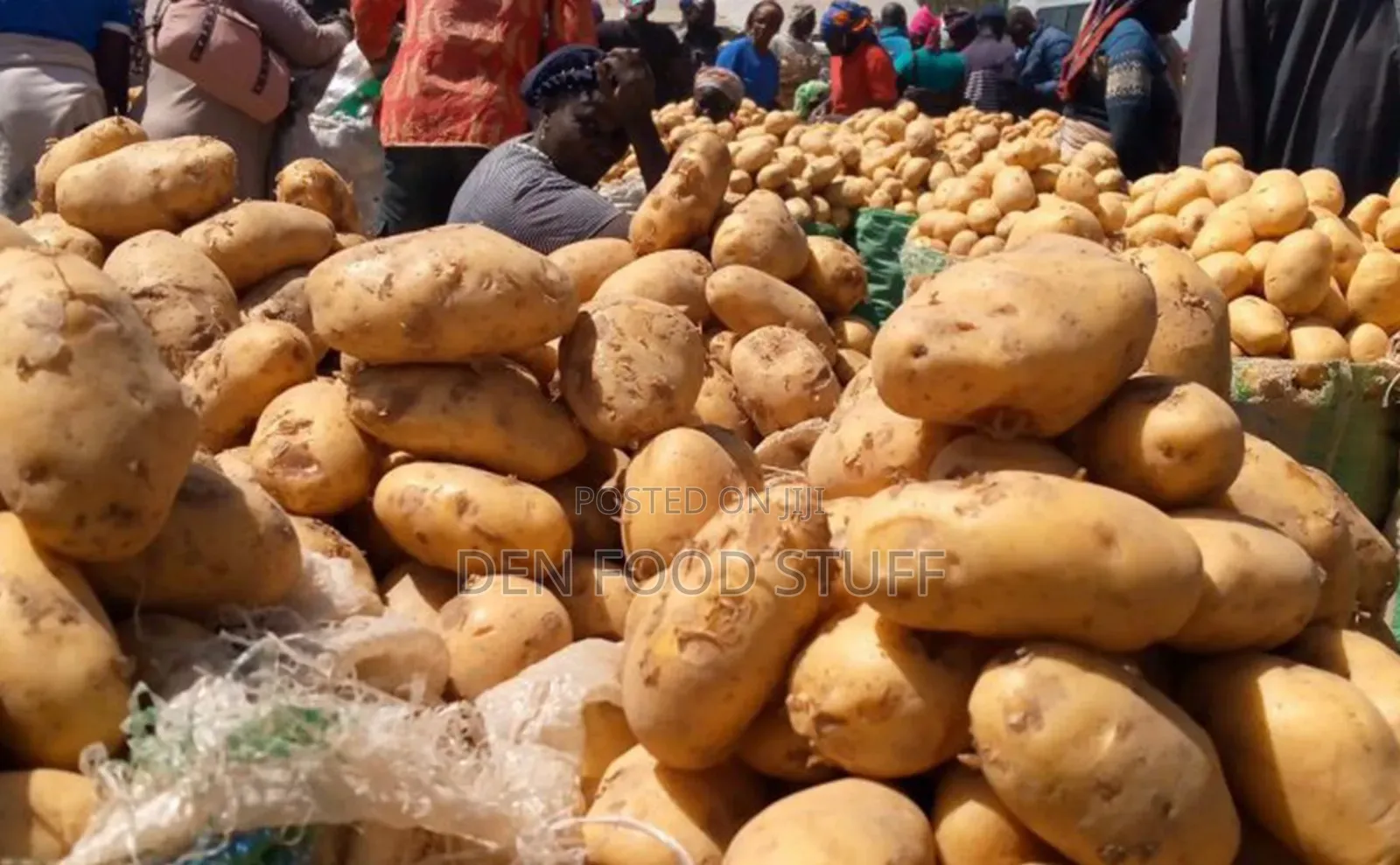 Fresh Potatoes