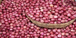 Fresh Onions and Tomatoes - thumbnail 2