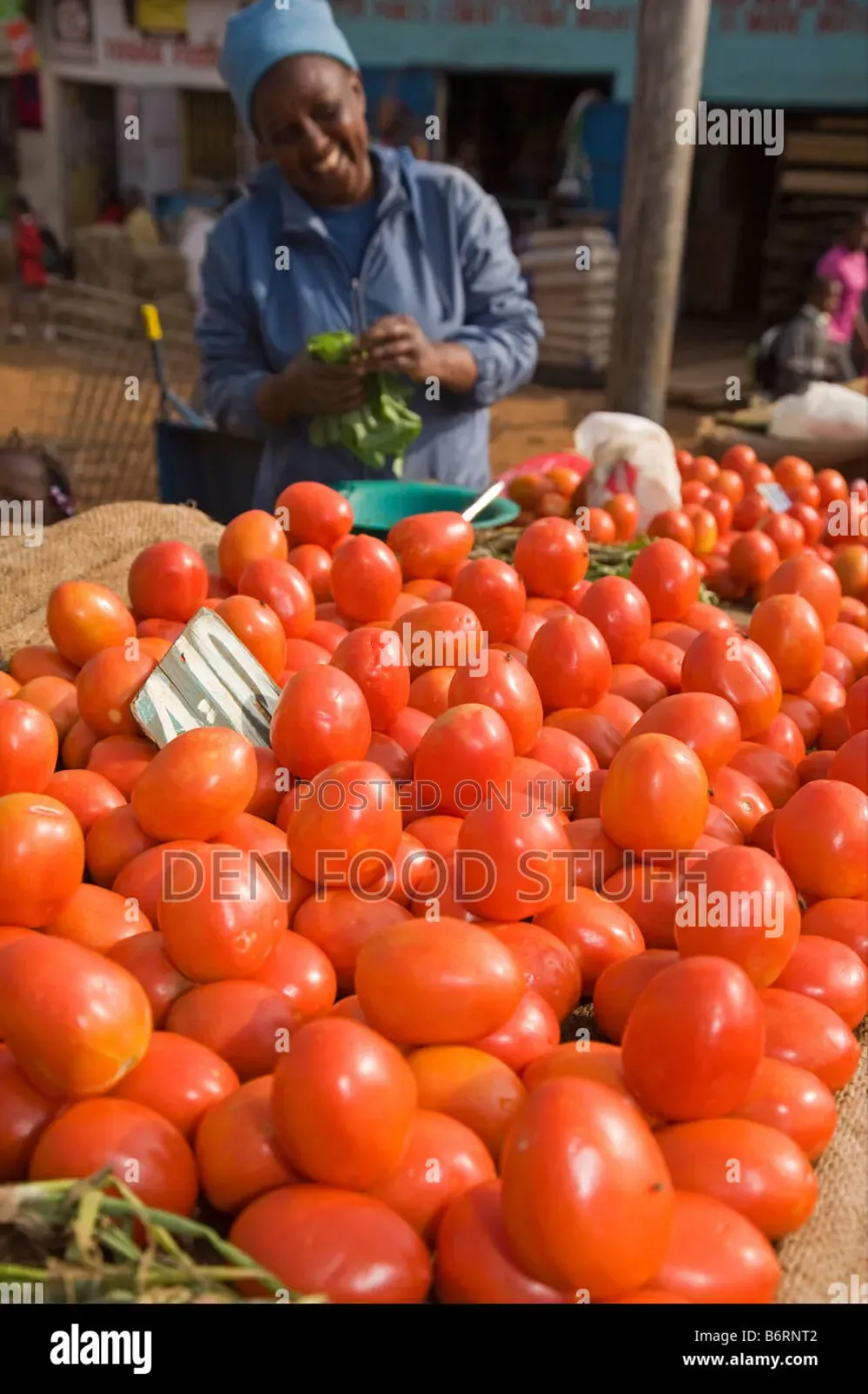Fresh Onions and Tomatoes