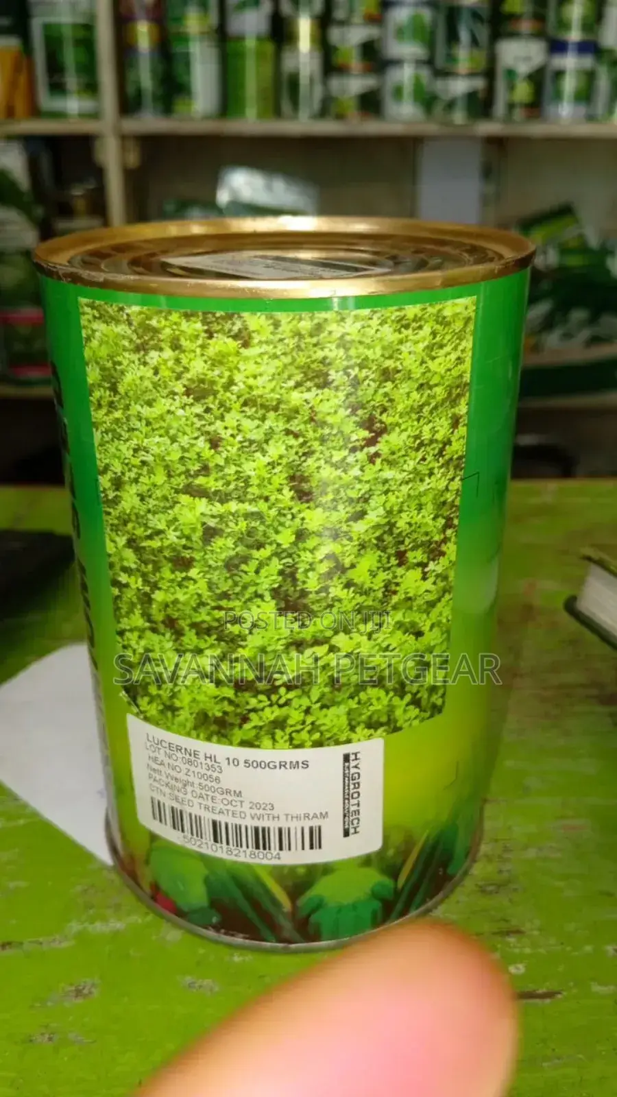 Lucerne HL 10 Seeds - 500 Grams