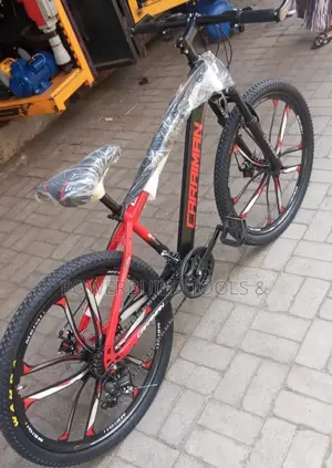 Chrome Bike Size 26 Adult Size