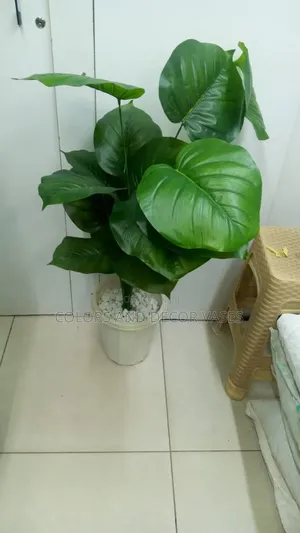 Green Plant 1.2m White Pebble Stones in Vase