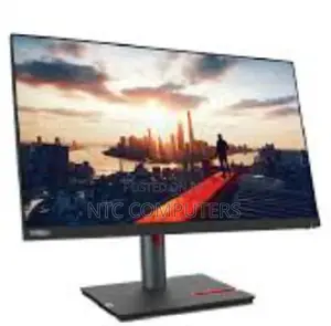 Lenovo Thinkvision P24h-30 23.8" QHD Monitor, Tilt/Swivel/Pi