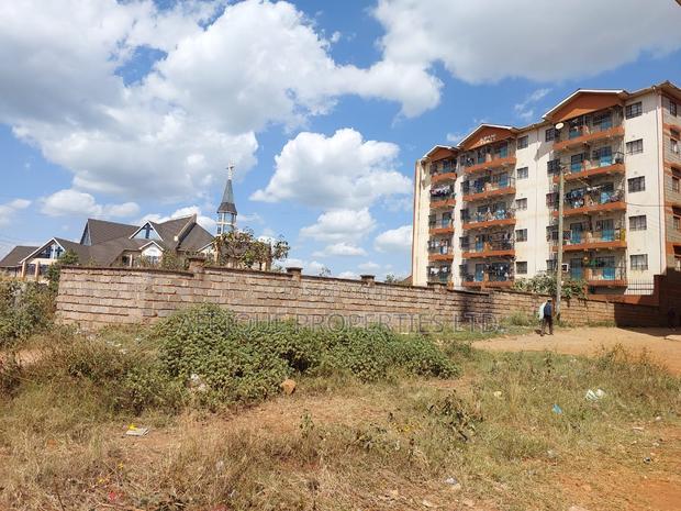 Thika Town Commercial 100 × 100 Plot for Sale - thumbnail 3