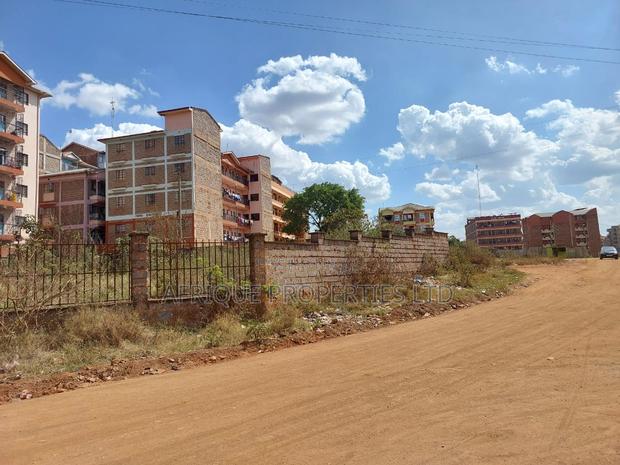 Thika Town Commercial 100 × 100 Plot for Sale - thumbnail 4
