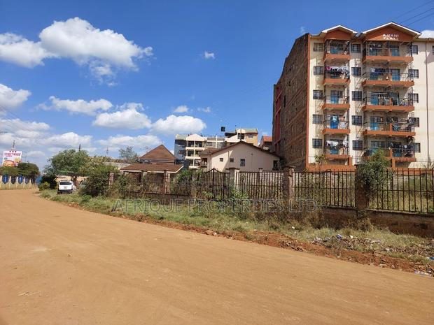 Thika Town Commercial 100 × 100 Plot for Sale - thumbnail 5