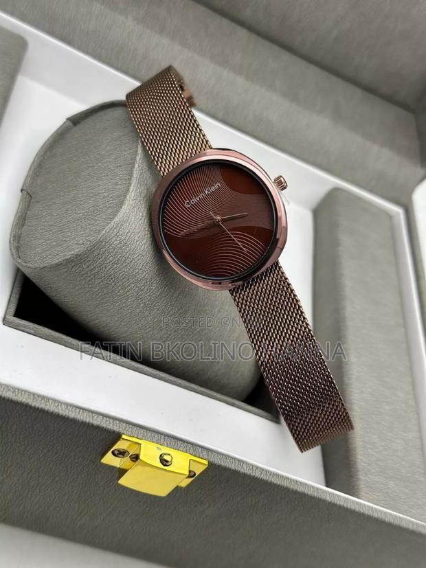 Mesh CK Watch - main view