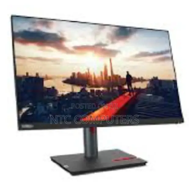 Lenovo Thinkvision P24h-30 23.8" QHD Monitor, Tilt/Swivel/Pi